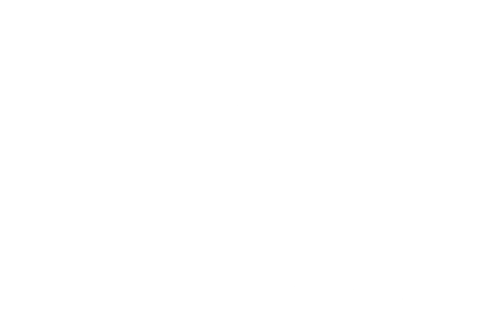 terraxis-logo-white